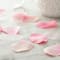 12 Pack: Occasions Pink Decorative Rose Petals by Celebrate It™